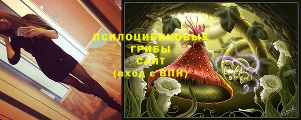 дурь Алзамай